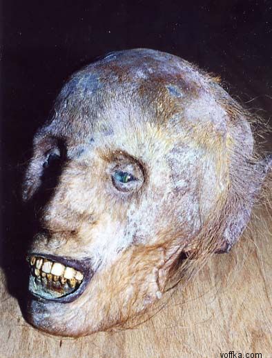 Подводные уродцы