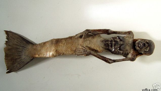 Подводные уродцы