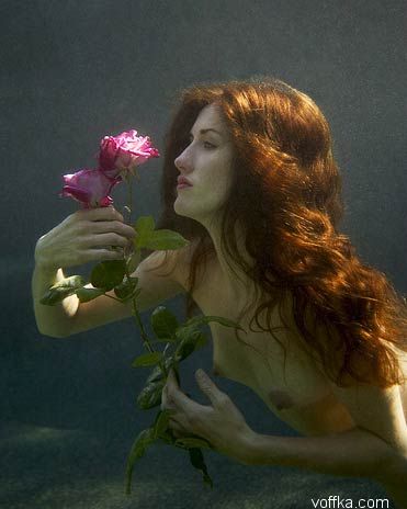 ��������� �������