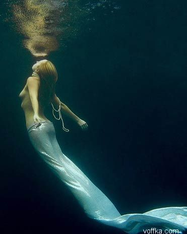 ��������� �������