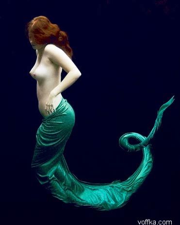 ��������� �������