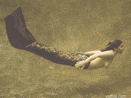 ��������� �������