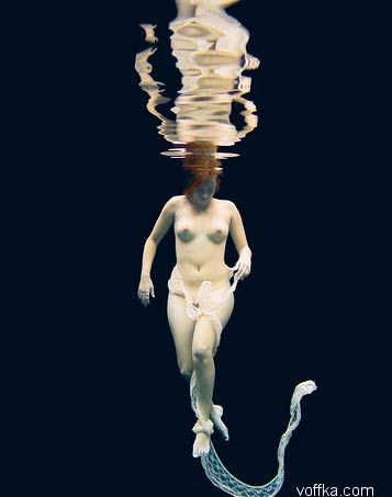 ��������� �������