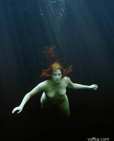 ��������� �������