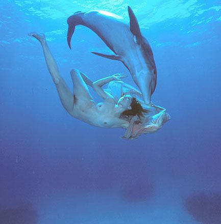 ��� ����� - �������