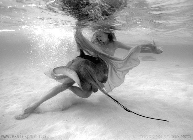 ��� ����� - �������