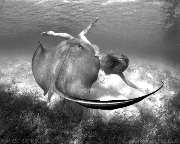 ��� ����� - �������