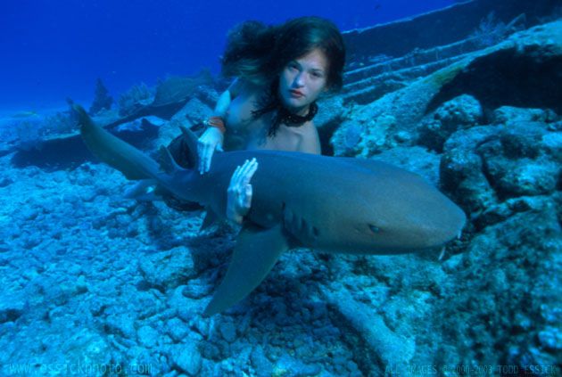 ��� ����� - �������