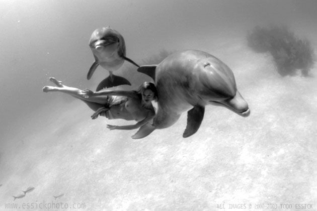 ��� ����� - �������