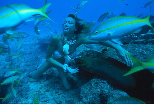 ��� ����� - �������