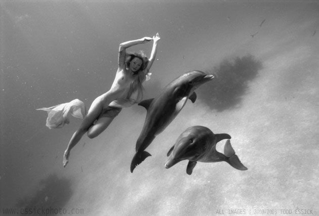 ��� ����� - �������