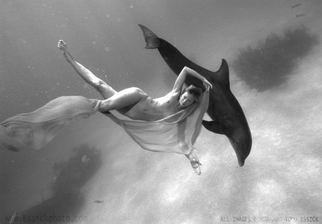 ��� ����� - �������