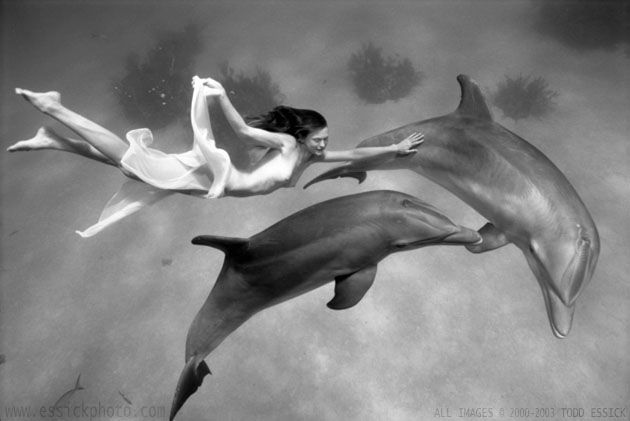 ��� ����� - �������