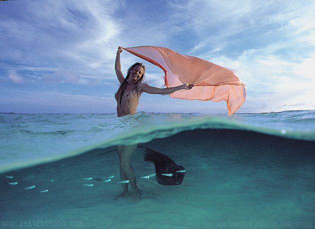 ��� ����� - �������