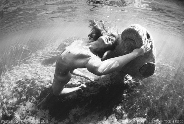 ��� ����� - �������