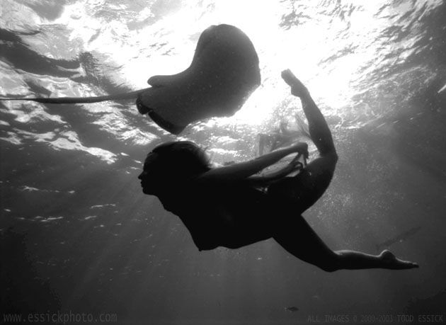 ��� ����� - �������