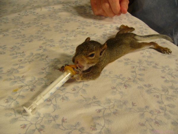 ��������� �����