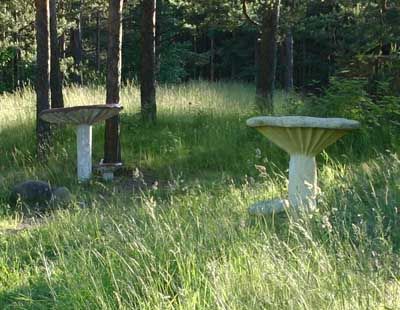 Детский лагерь для бетономаньяков