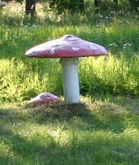 Детский лагерь для бетономаньяков