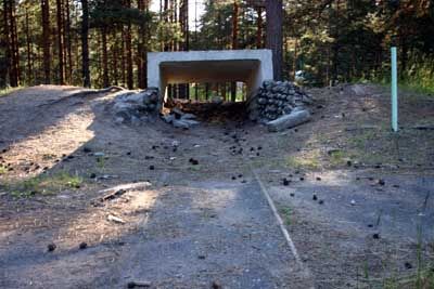 Детский лагерь для бетономаньяков