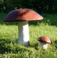 Детский лагерь для бетономаньяков