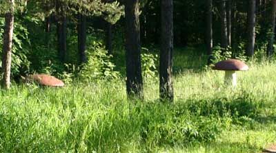 Детский лагерь для бетономаньяков