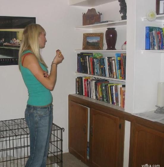 �������� �������