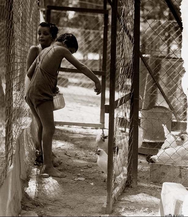 ������� ������. ������ �������� ����