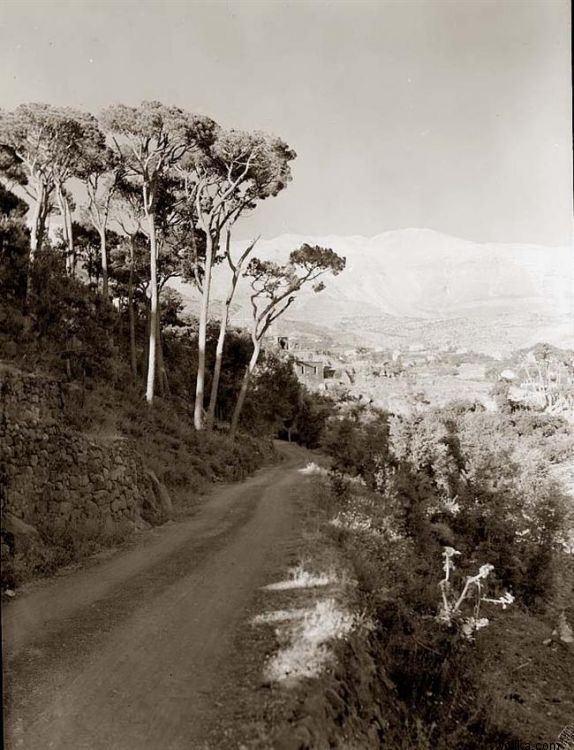 ������� ������. ������ �������� ����