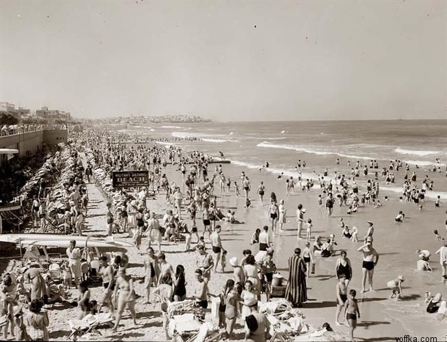 ������� ������. ������ �������� ����