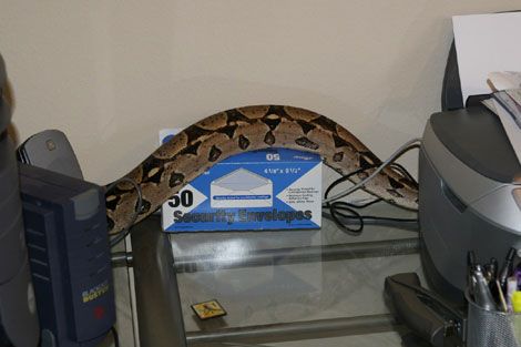 ���� � �����