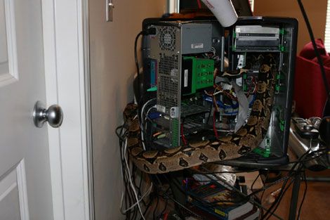 ���� � �����