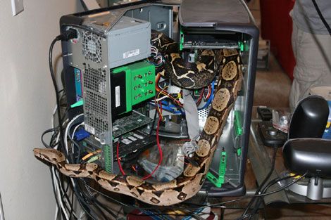 ���� � �����