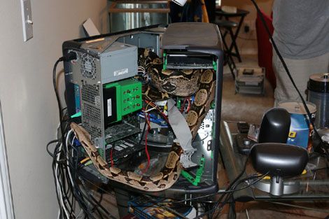 ���� � �����