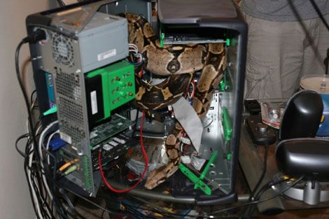 ���� � �����