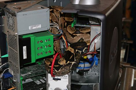 ���� � �����