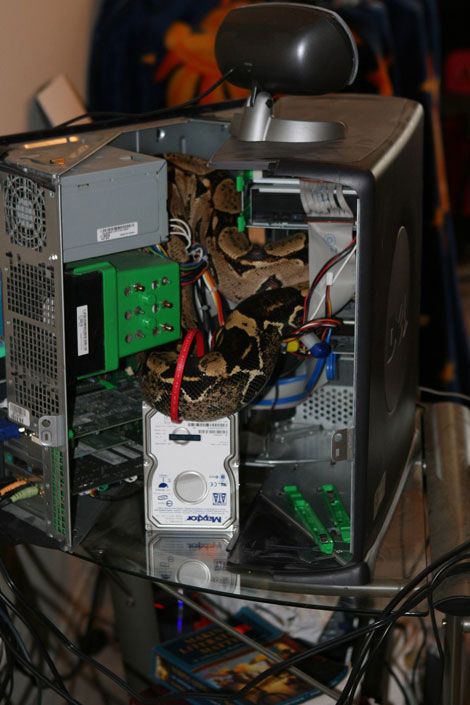 ���� � �����