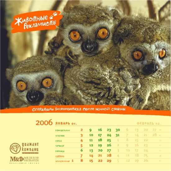 �������� ��������� ��� ������ ������