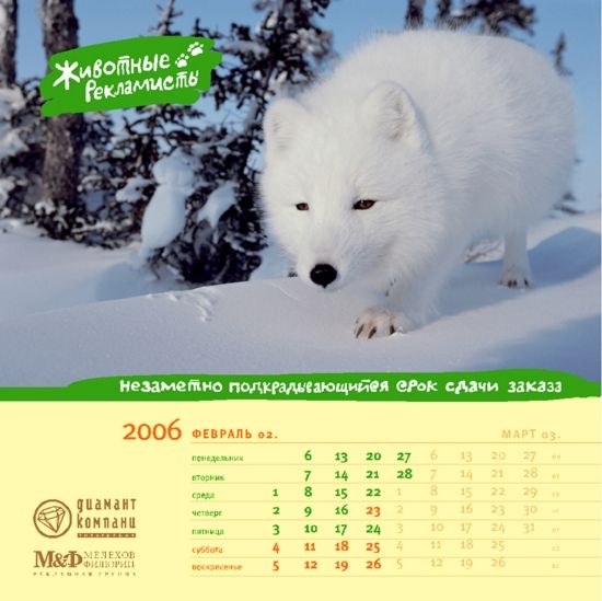 �������� ��������� ��� ������ ������