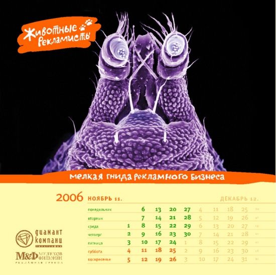 �������� ��������� ��� ������ ������