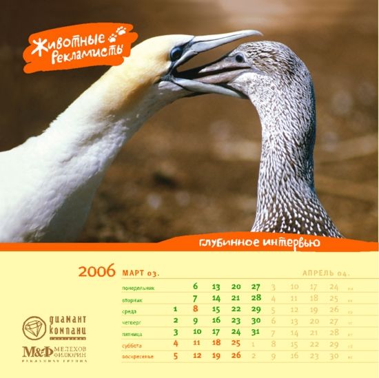 �������� ��������� ��� ������ ������