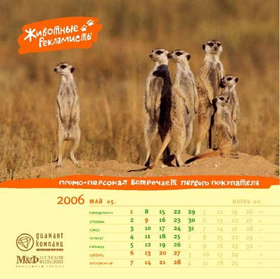 �������� ��������� ��� ������ ������