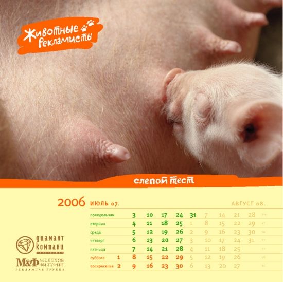 �������� ��������� ��� ������ ������