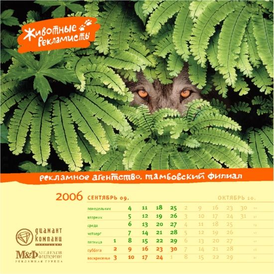 �������� ��������� ��� ������ ������