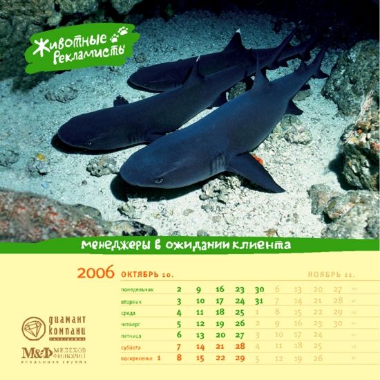 �������� ��������� ��� ������ ������