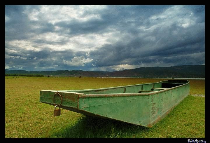 ����� - ���� Gil Asovri