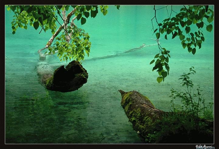 ����� - ���� Gil Asovri