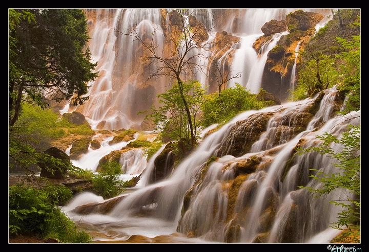 ����� - ���� Gil Asovri