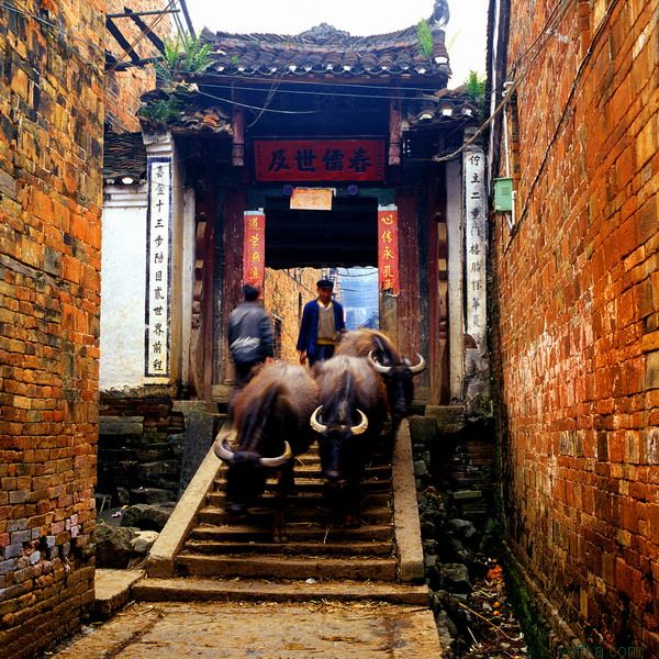 �������� ����� ����� (China)