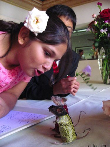 токсидермист-умелец